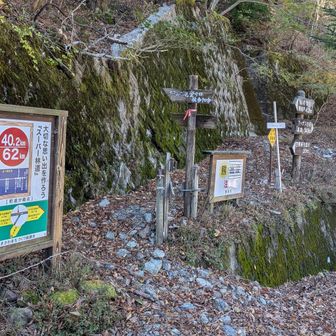 ほら貝の滝登山口