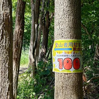 地主さんでしょうか？登山者用の駐車場を作ってくださったようです。しかも100円（謝）
でも気温は33℃