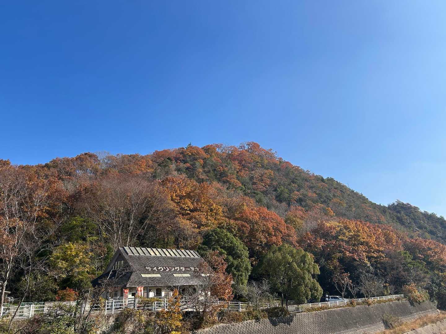 無事に下山
ポカポカ陽気に、出会いもあり、楽しかった✨
お疲れ様でした(^^)