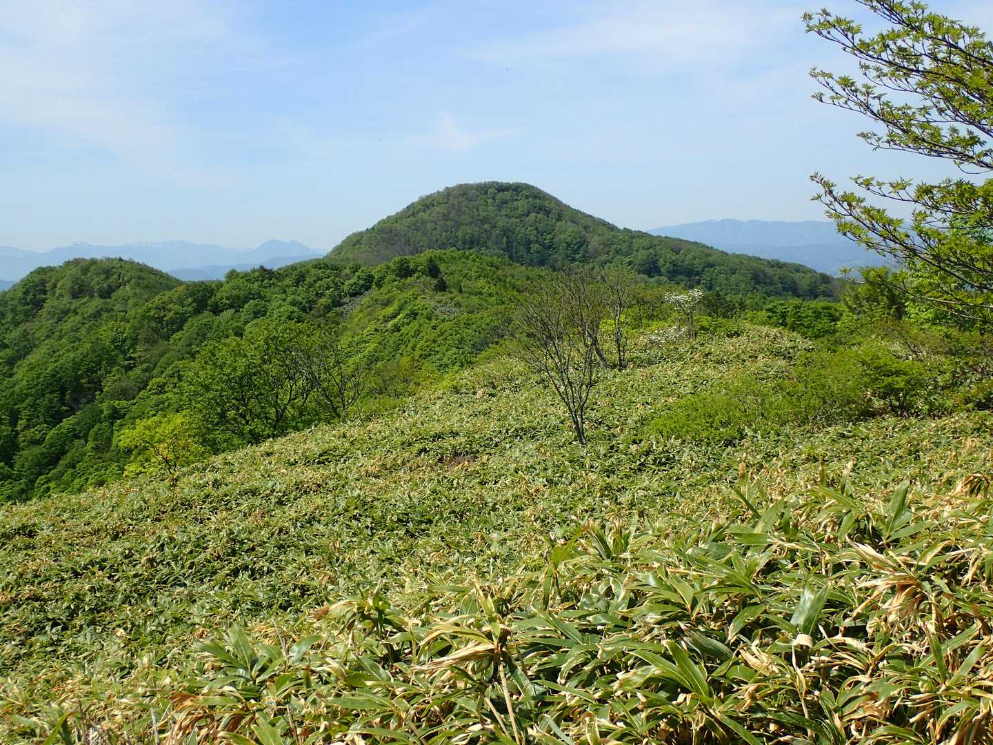 笹原と大将旗山