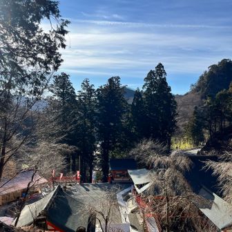 上から見下ろす。いいところにあります⛩️