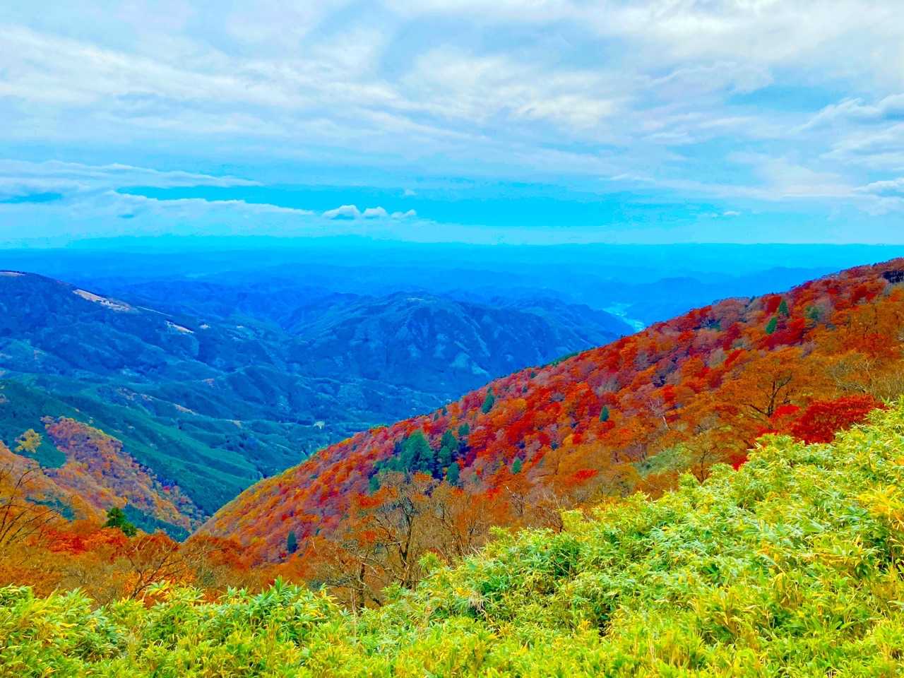 駒の尾登山口-駒の尾山-鍋ヶ谷山-船木山-後山-船木山登山 縦走コースの写真