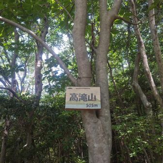 山頂。三角点あり。眺望なし。