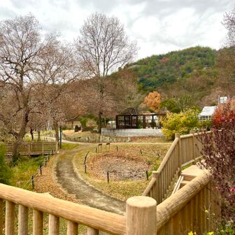 帰って来ました😊
登山口の市ノ池公園