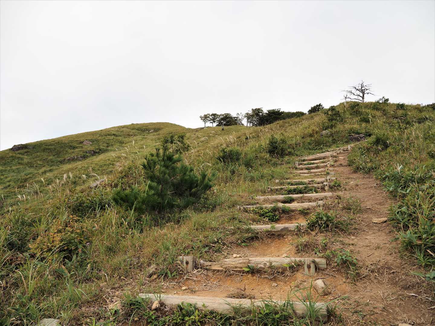 東登山口-深入山-南登山口 周回コースの写真