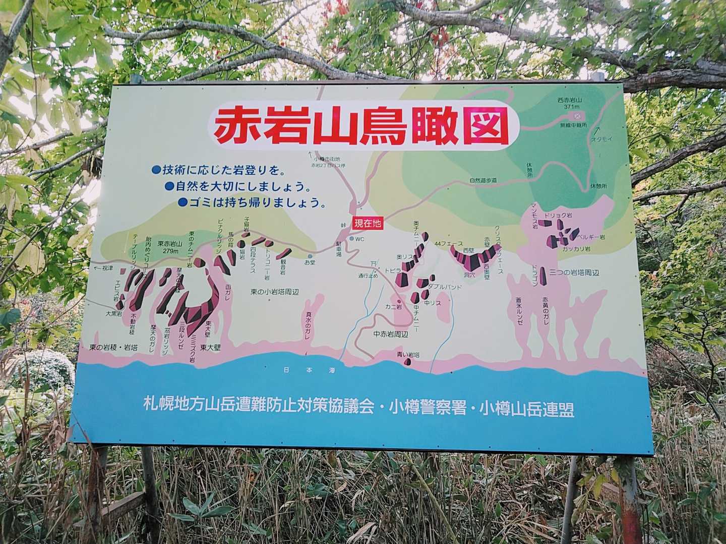 赤岩山-下赤岩山-下赤岩山登山口 縦走コースの写真
