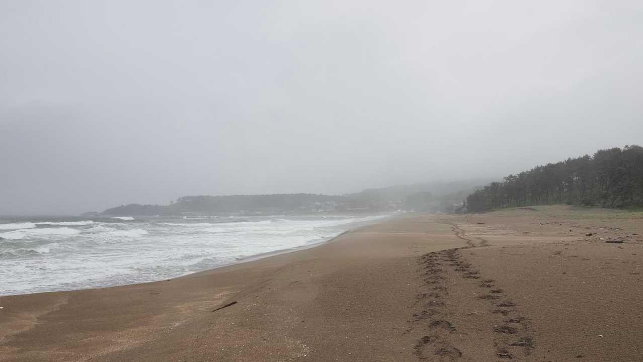 みちのく潮風トレイル（蕪島〜種差海岸）／青森遠征Day2 の写真 31