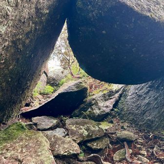 この中をくぐります