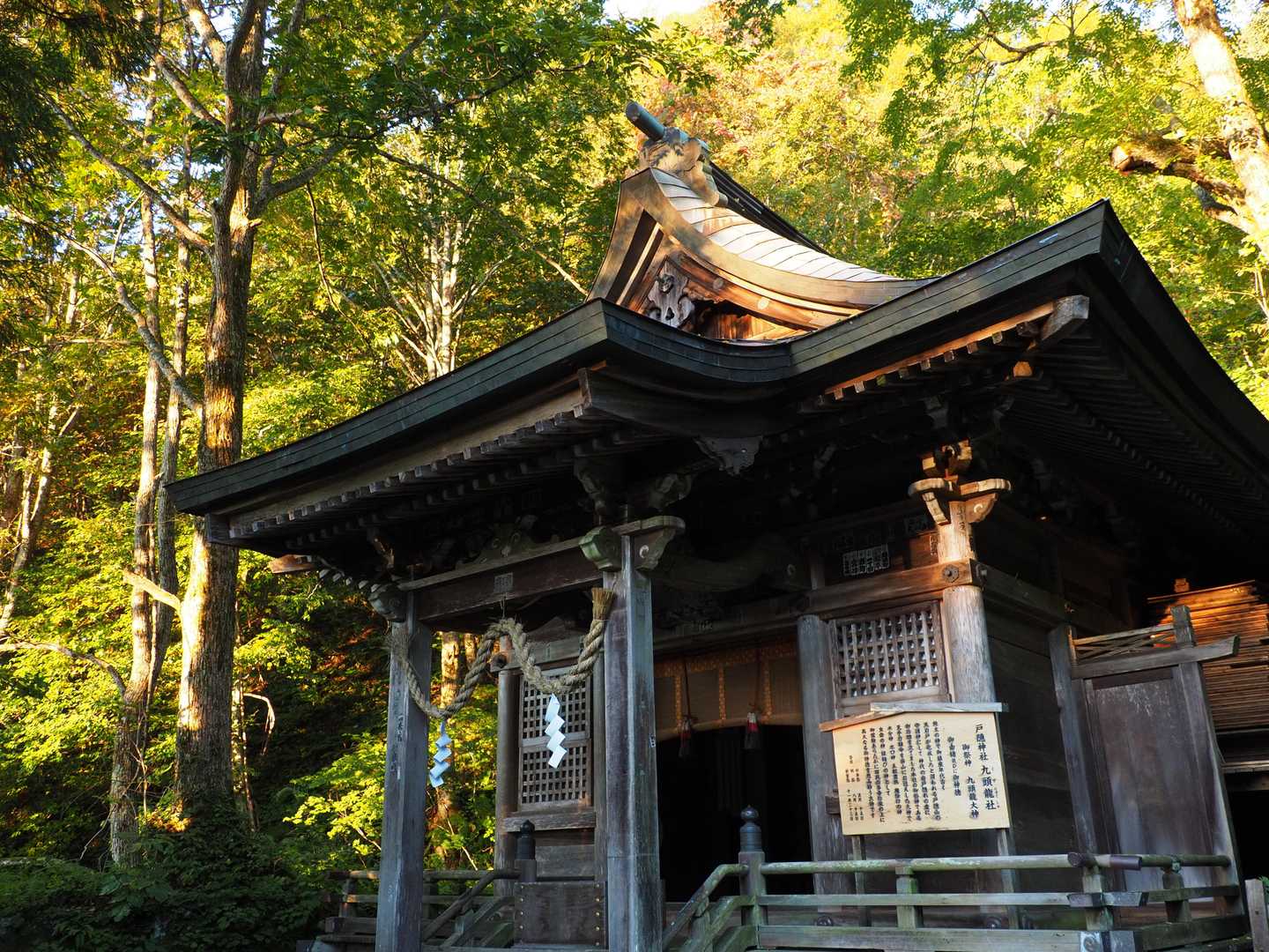 九頭龍神社
蟻の塔渡りで落っこちませんように🙏