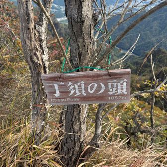 着きましたー🙌（厳密にいうと丁須の頭の肩かな？笑）