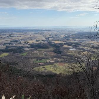 春にはやくらいガーデンきれいになるんだろうなぁ☘️