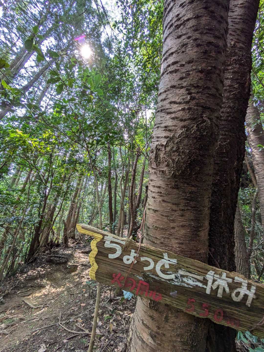 はい、仰せのままに水分休憩。