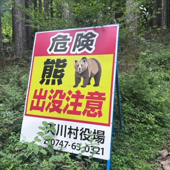 ヒグマやん😱