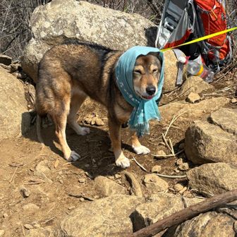 「かわいい」って言われると、嬉しくてこんな顔になっちゃう。かわいいね。