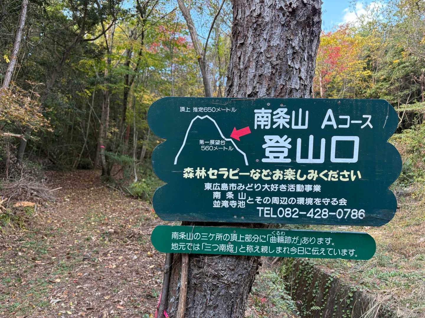 ここから登ります▶️