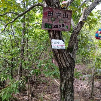 ⑦田中山
休憩しながら
やっとつきました