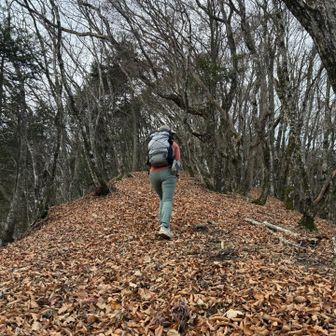 アップダウンを繰り替えしつつピークを越えていく。