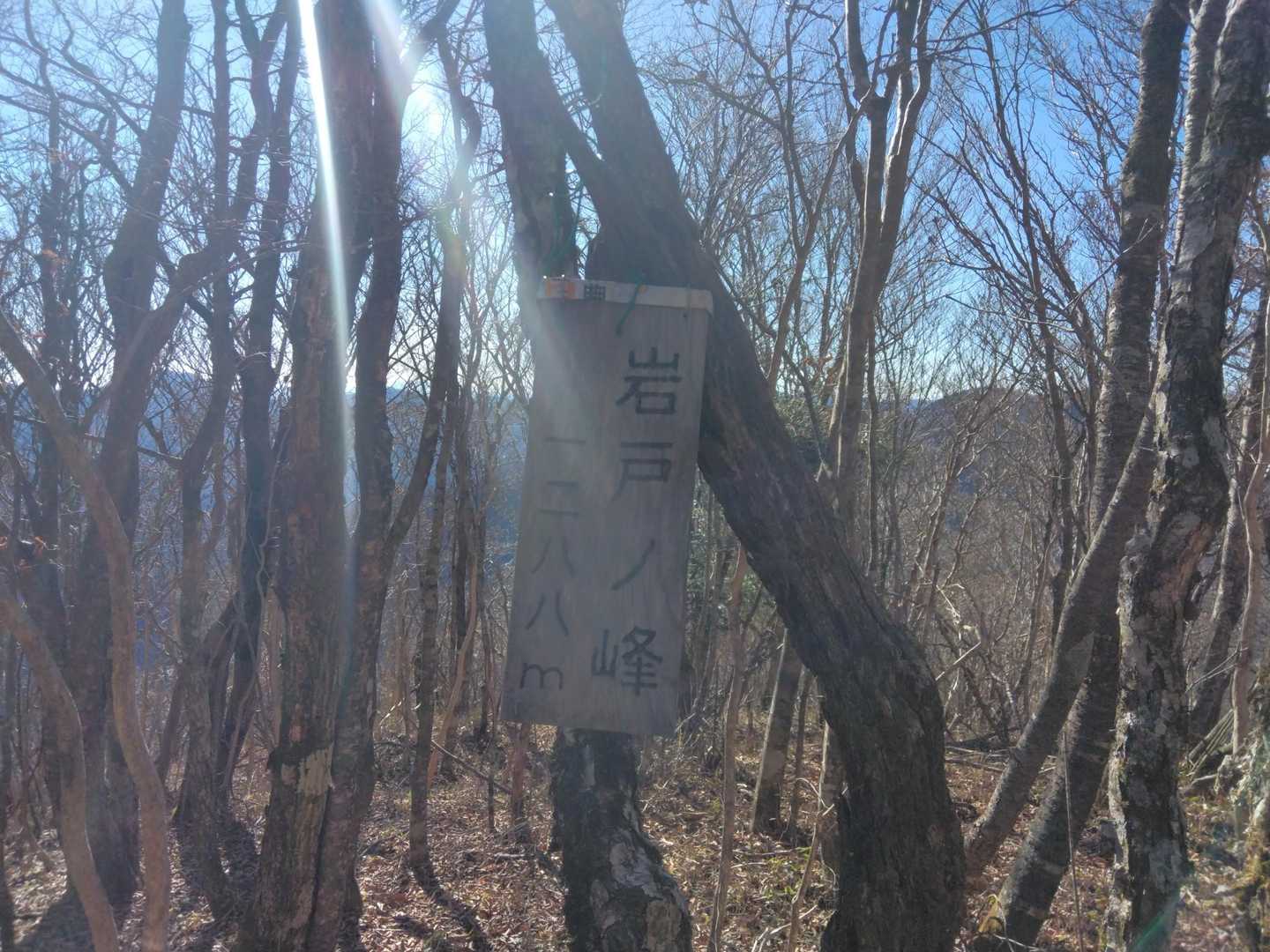 入道山-秋山峠-赤鞍ヶ岳-岩戸ノ峰-本坂峠-ブドウ岩ノ頭- 周回コースの写真