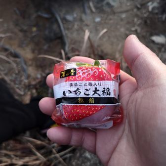 いちご大福でHP全回復（今年お初♪）
