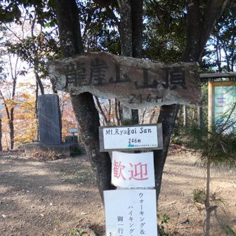 龍崖山山頂
標高 246m