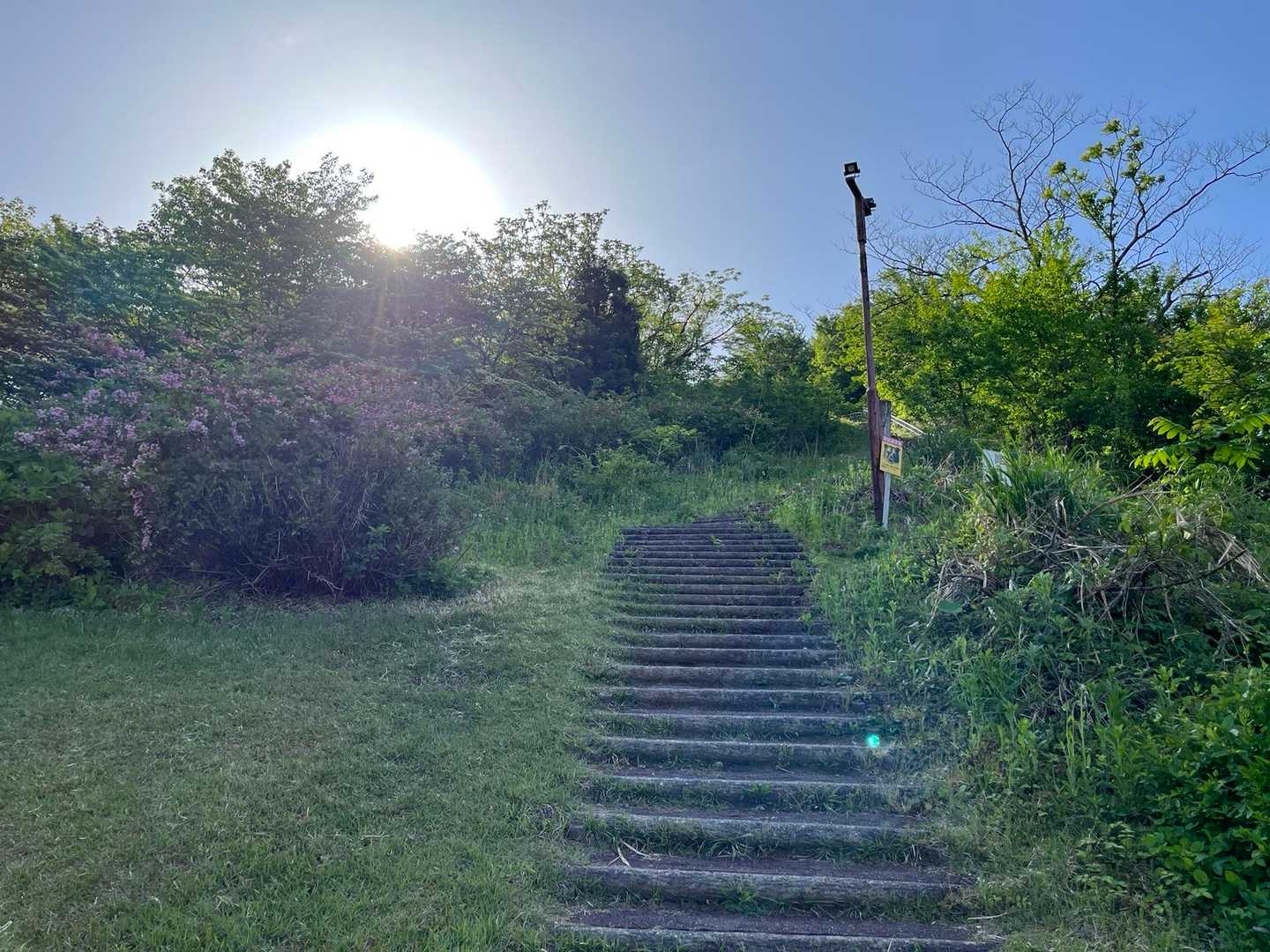猿倉山-御前山 往復コースの写真