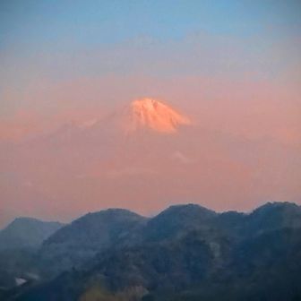 芸術作品♥️♥️