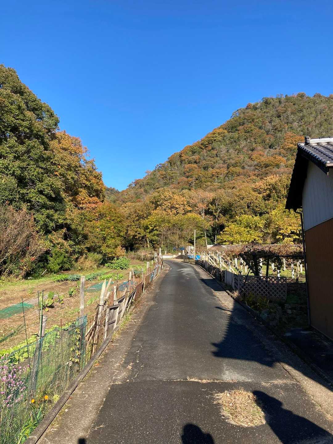 鷲峰山へ