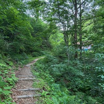 早く帰って仕事しないといけないので早く出発、という記憶を消して入山