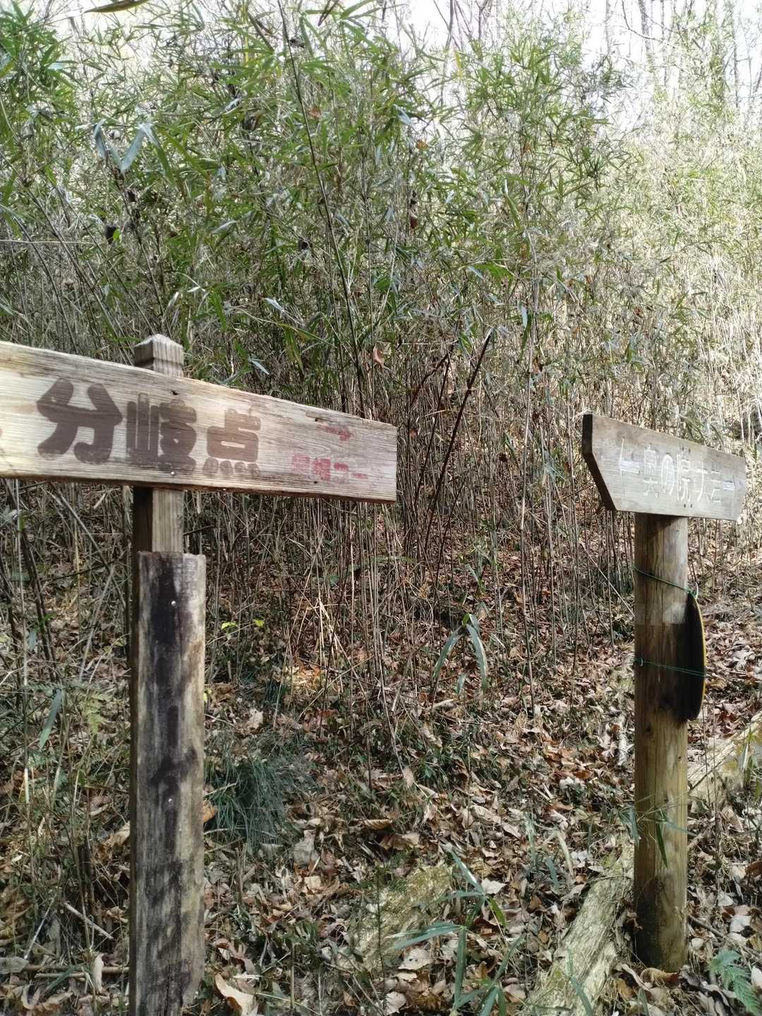 鞍掛山 往復コースの写真