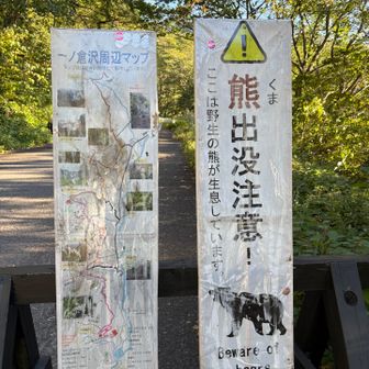 🐻こわい