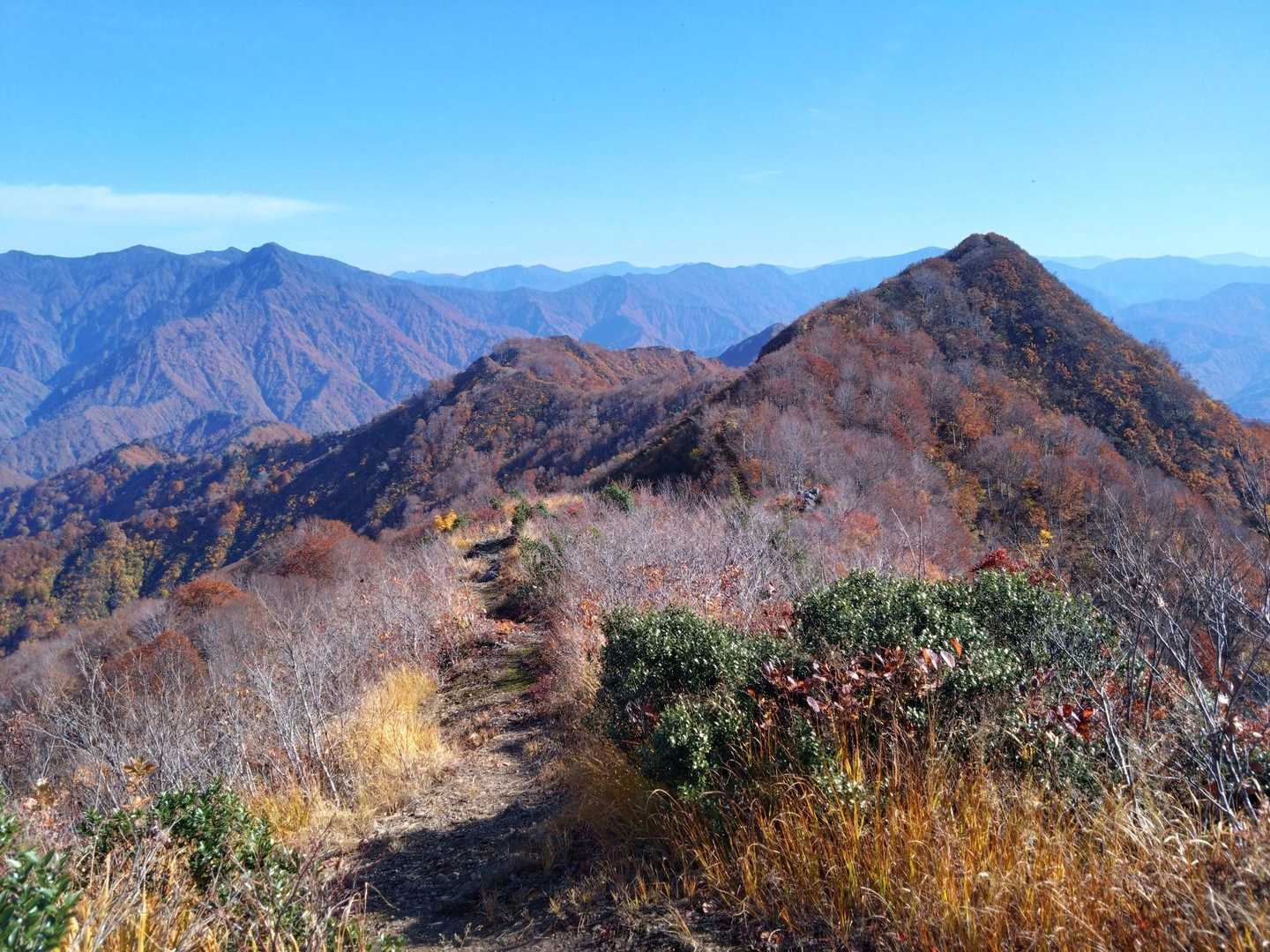 手前のピークから唐松山頂上。