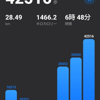 本日の歩数　42516歩
今月の新規山頂は102座でした
今年の新規山頂は508座でした