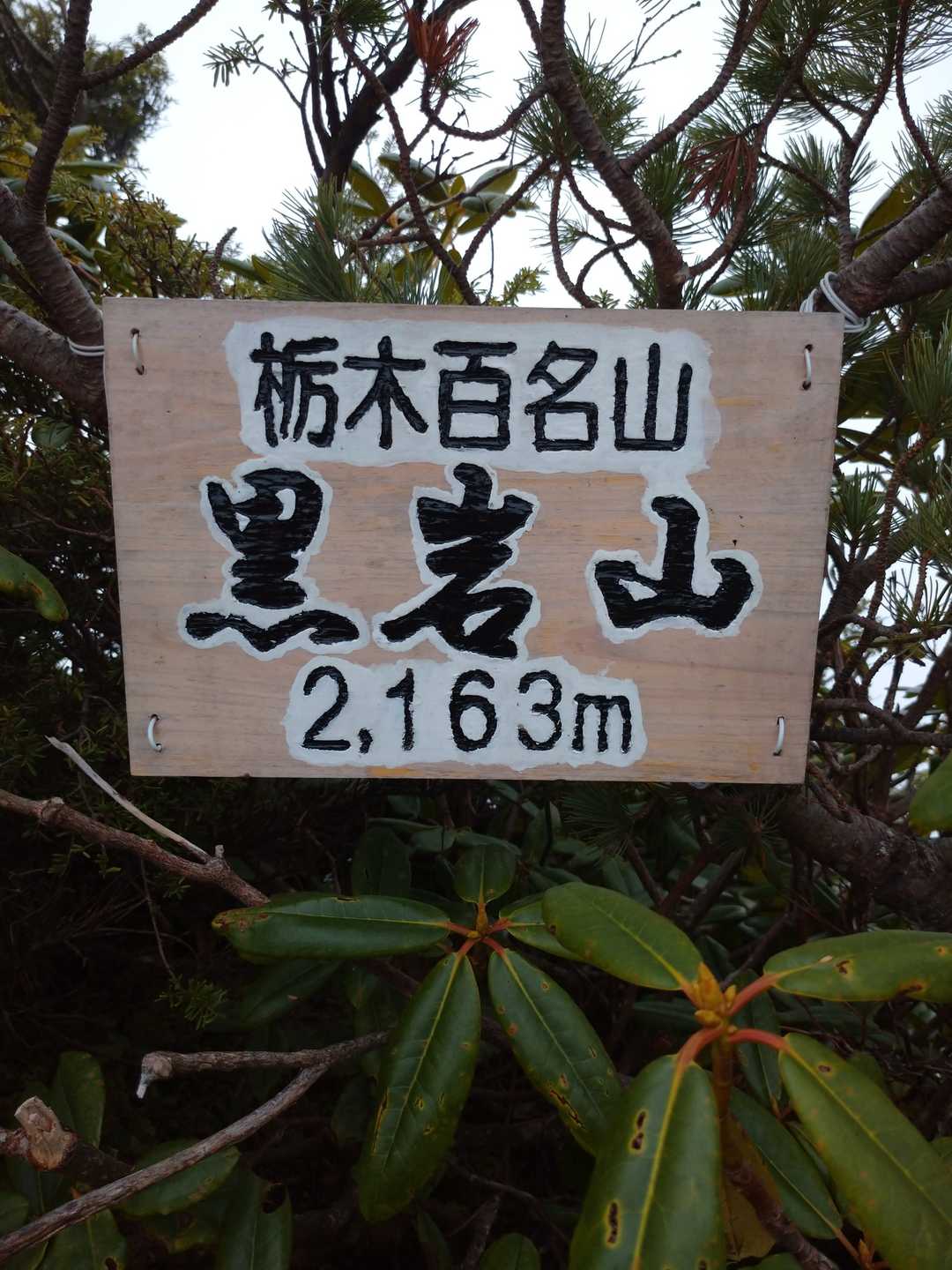 黒岩山（群馬県）の写真