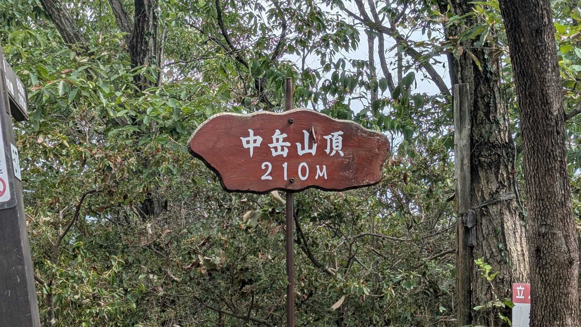 眺望はありませんでした😅