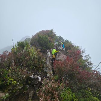 核心部を注意深く...。