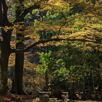 大親寺の境内、絵になる風景！写真ではなかなか伝わらないな〜🤔