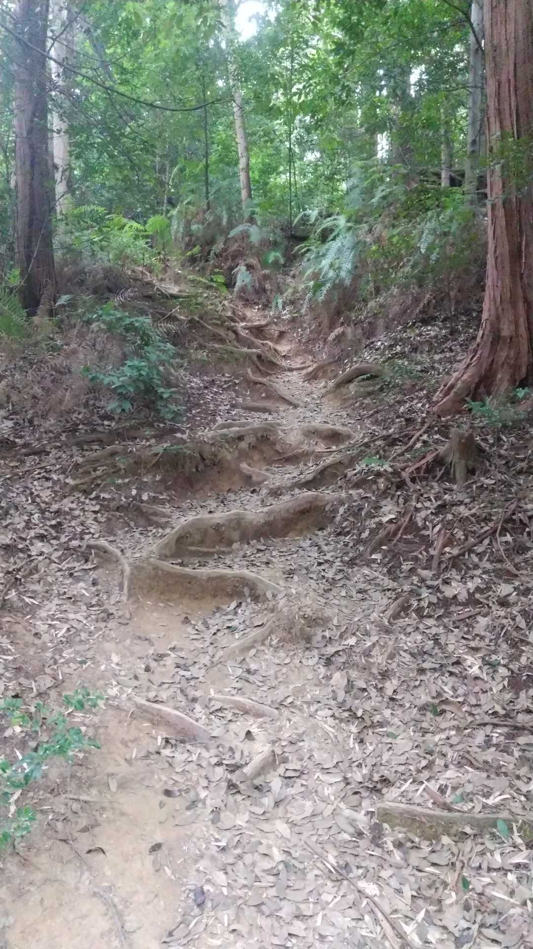 今日はもう一つ行きます。