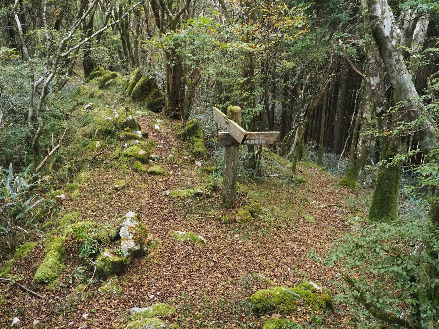 下山は小天狗岩経由で