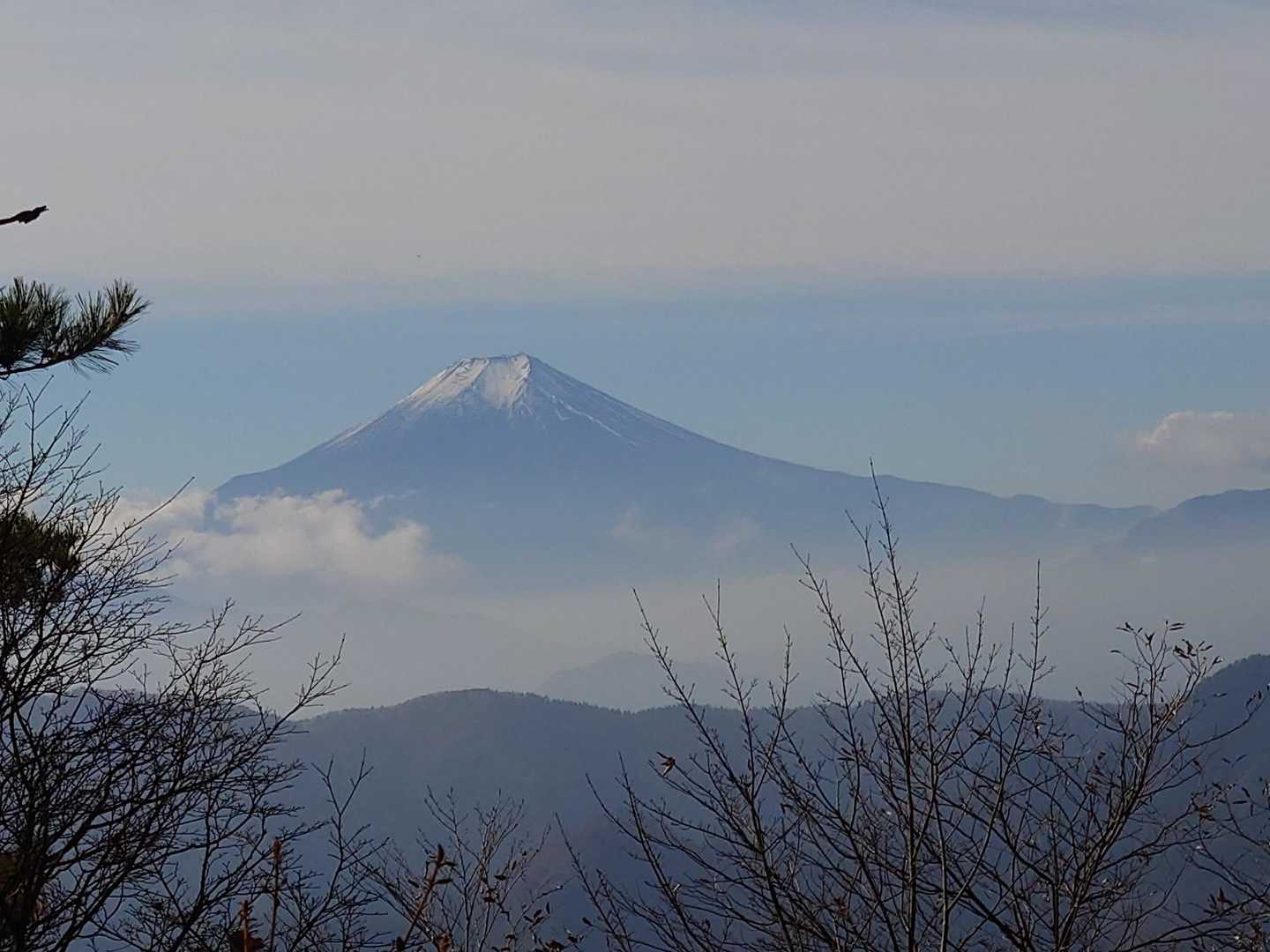 花と樹木、野鳥を愛でながら歩く、東京・奥多摩三頭山コースの写真