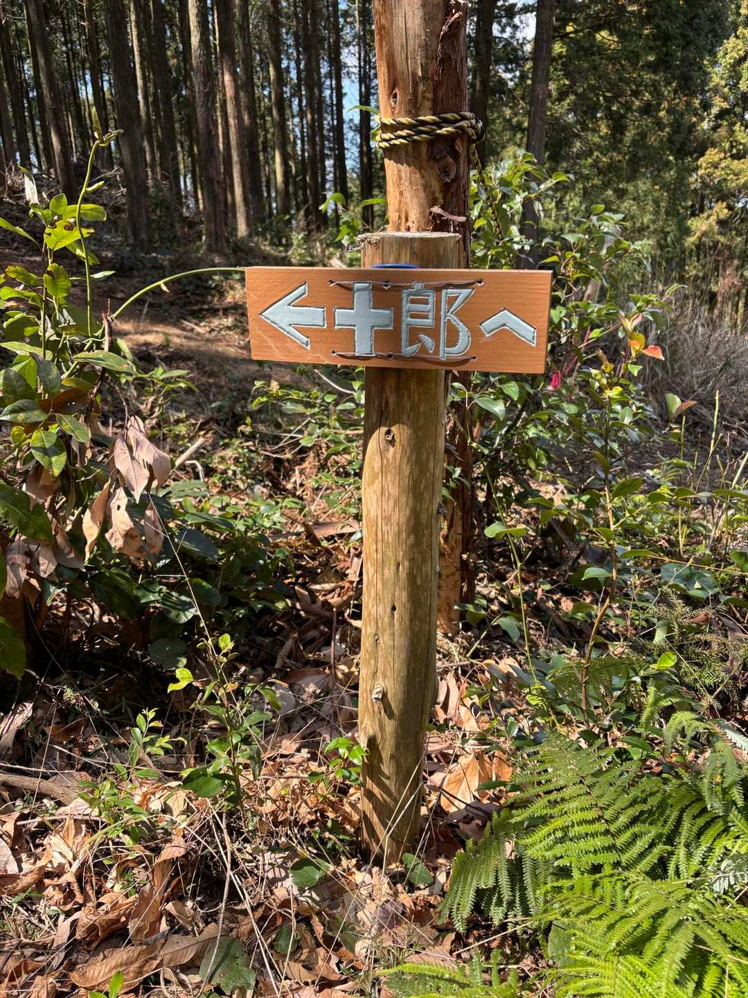 あっという間に戻って来ました
