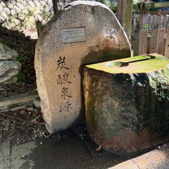 蛇口🚰を捻ると。。