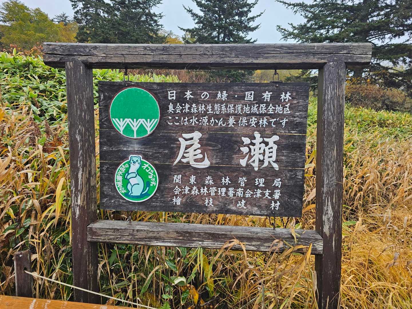 手ぬぐいの写真撮り忘れた😅