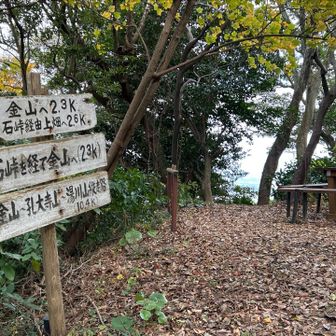 ココから金山〜孔大寺山〜湯川山へ続きます！
これから予定があるので、今日は城山だけです。