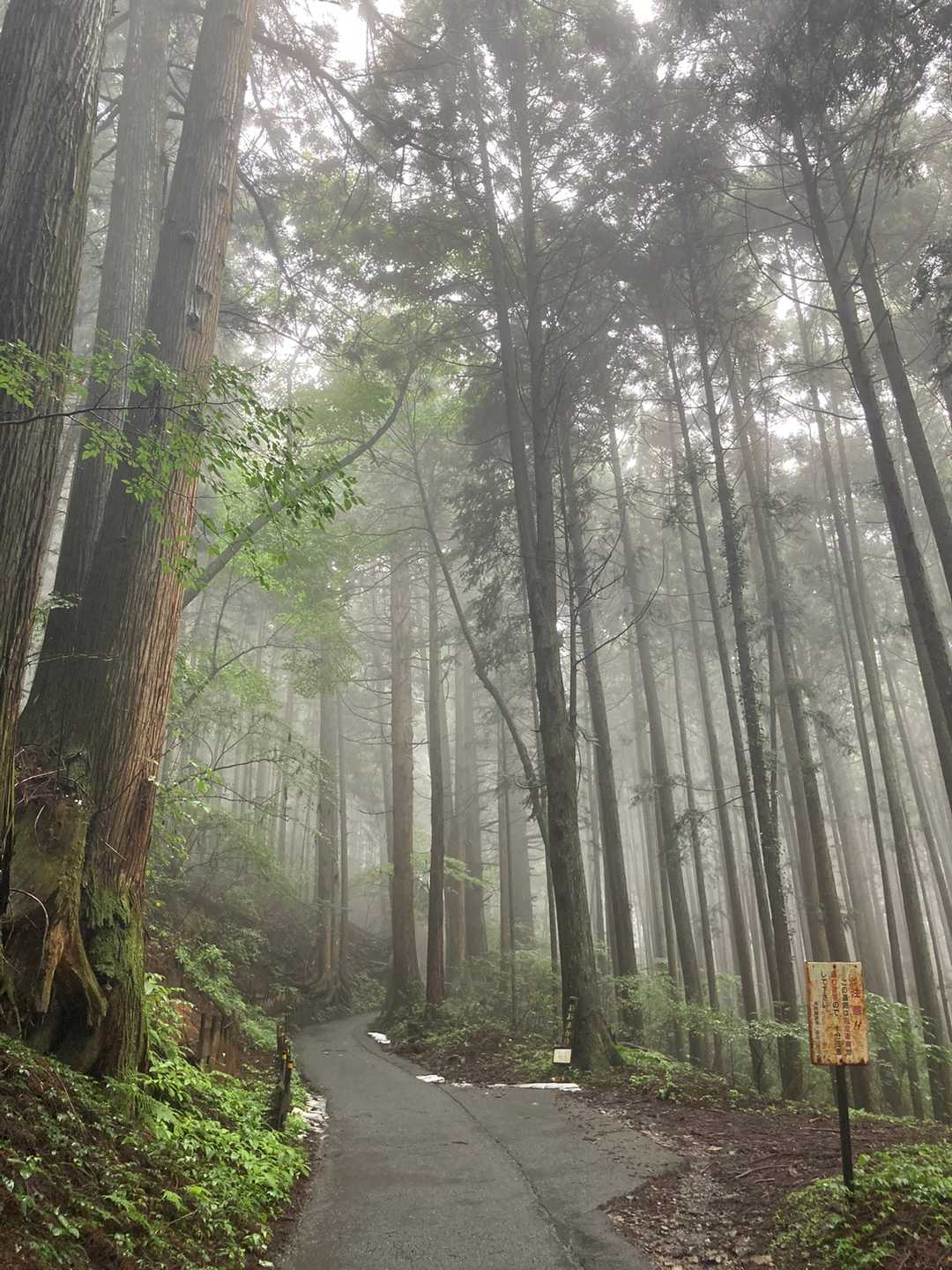 滝本駅-御嶽神社-御岳山駅 縦走コースの写真