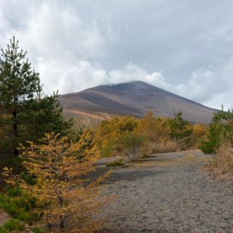 浅間山の全景見えた‼️
