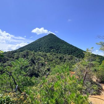 お〜　しゅばらしい👏👏👏

と思わず口に出るほどイイ感じ✨✨🩷