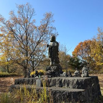 いつも見守ってくれてありがとうございます🙏✨
