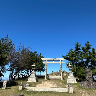 山頂到着！特に看板は見当たらなかった