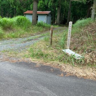 後半の東山パートはここから、林道から離れます👋