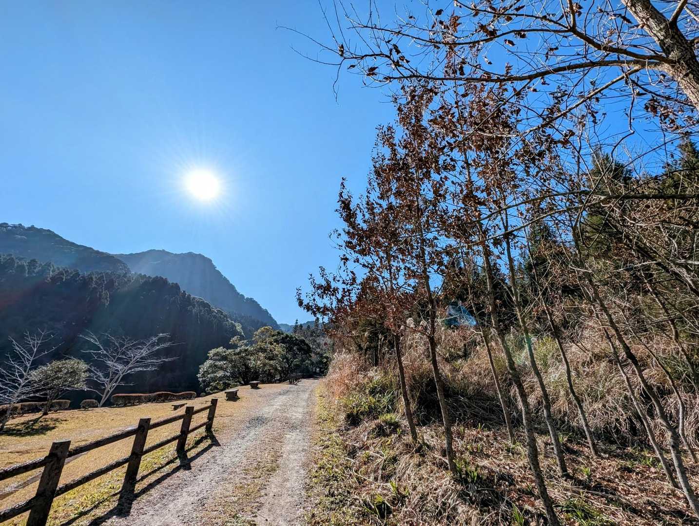 くんぱち山かな～🧐🏞️
